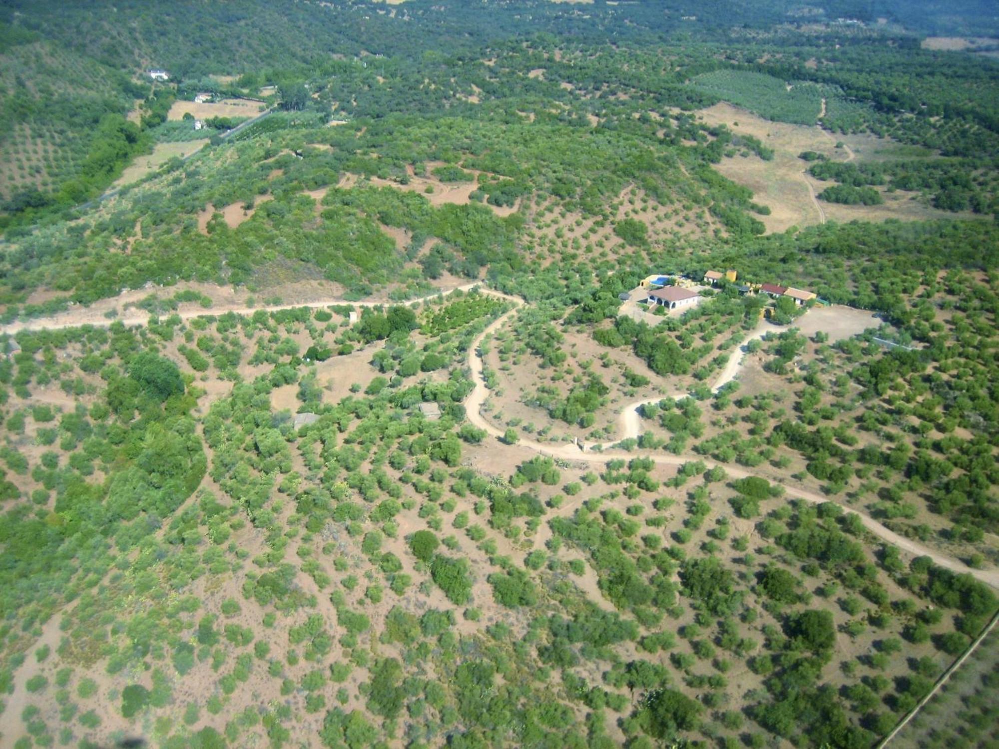 Complejo Rural Mirador De La Alcaidia Villa Hornachuelos Bagian luar foto